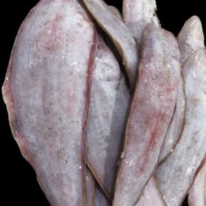 mandal fish UAE